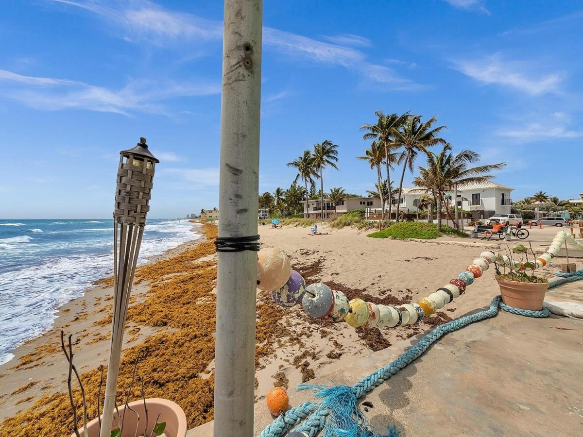 The Shell On Walnut Studio With Bath Hollywood Beach Free Parking Dania Beach Luaran gambar